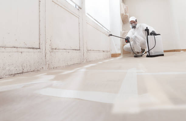 24/7 Emergency Mold Remediation experts in Roxborough Park, CO